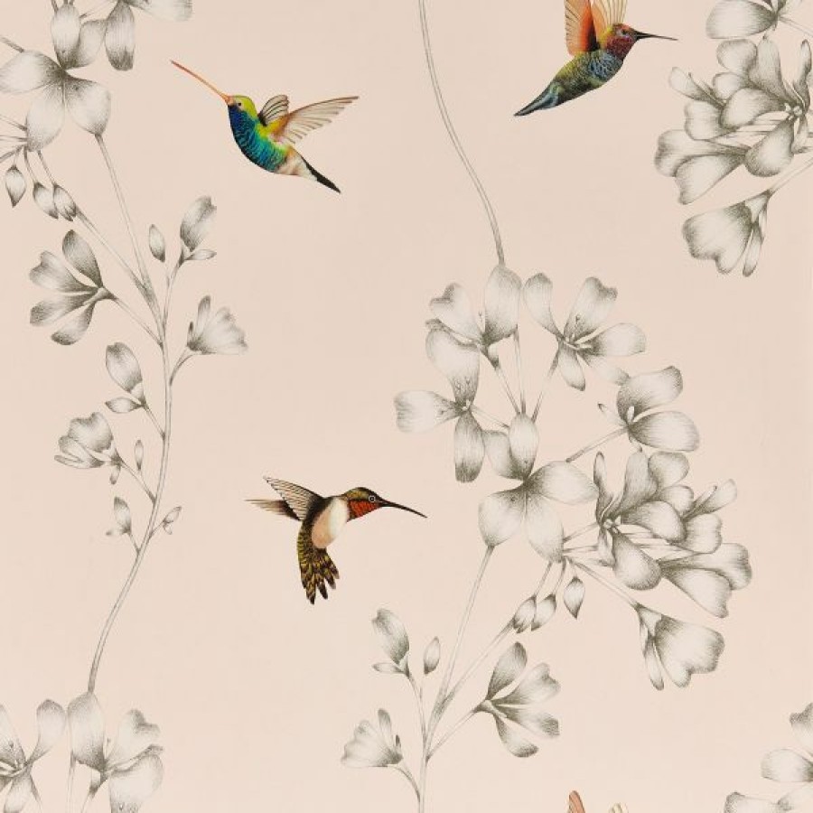 Other | * Top Sellers Harlequin Amazilia Hummingbird Wallpaper Powder Pink And Pearl Htew112606