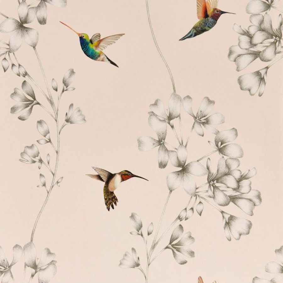 Other | * Top Sellers Harlequin Amazilia Hummingbird Wallpaper Powder Pink And Pearl Htew112606